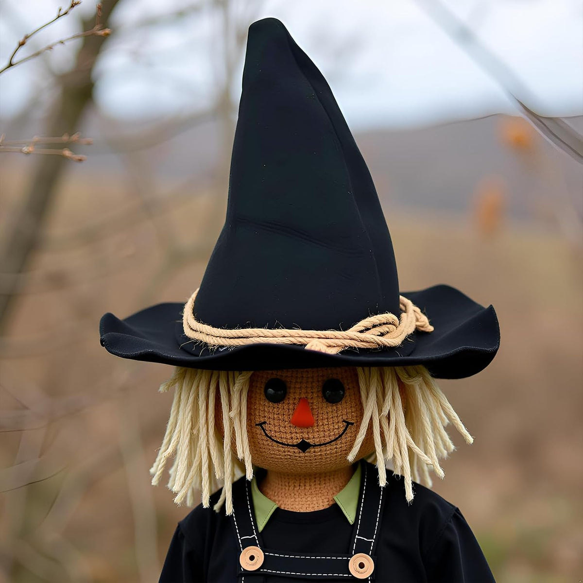 Witch Wizard Hat for Adults, Felt Wide Brim Pointed Hat, Oktoberfest, Halloween Scarecrow Costume Accessory
