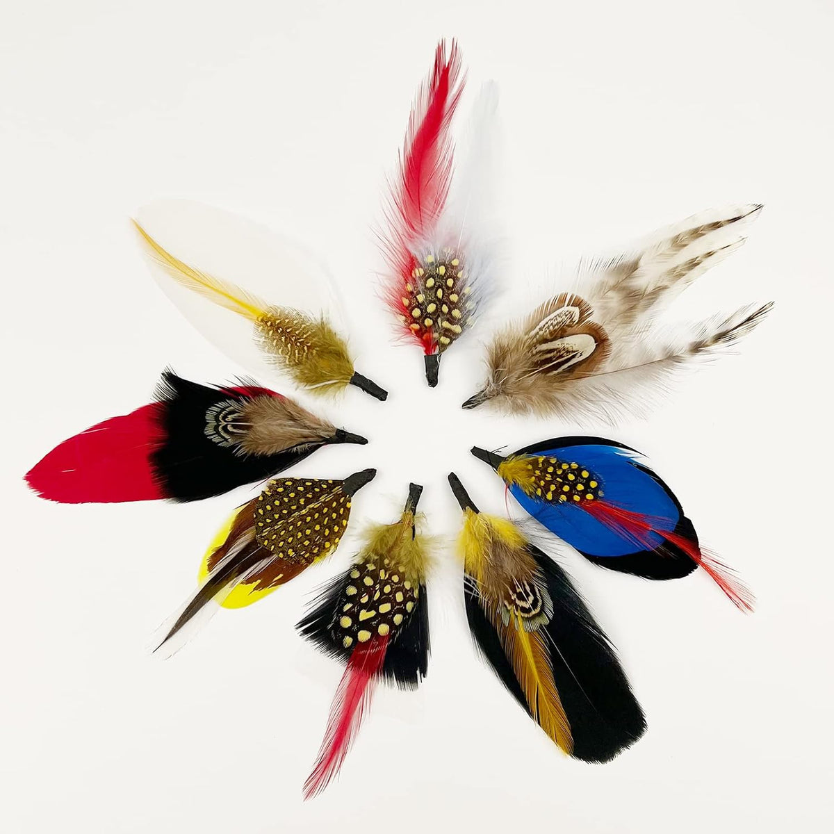 Hat Feathers for Fedora, Assorted Natural Feathers for Men Women | Colorful Fedora Feathers for Mens Hat, Trilby, Borges, Panama, Straw Hats, Accessories, Real Feathers Pin for DIY Craft