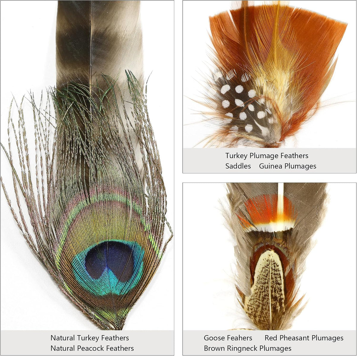 Hat Feathers 10 Styles Natural Assorted Feathers for Fedora Hats Accessories DIY Craft,Western Cowboy Hats,Christmas Party Hats,Oktoberfest Hats