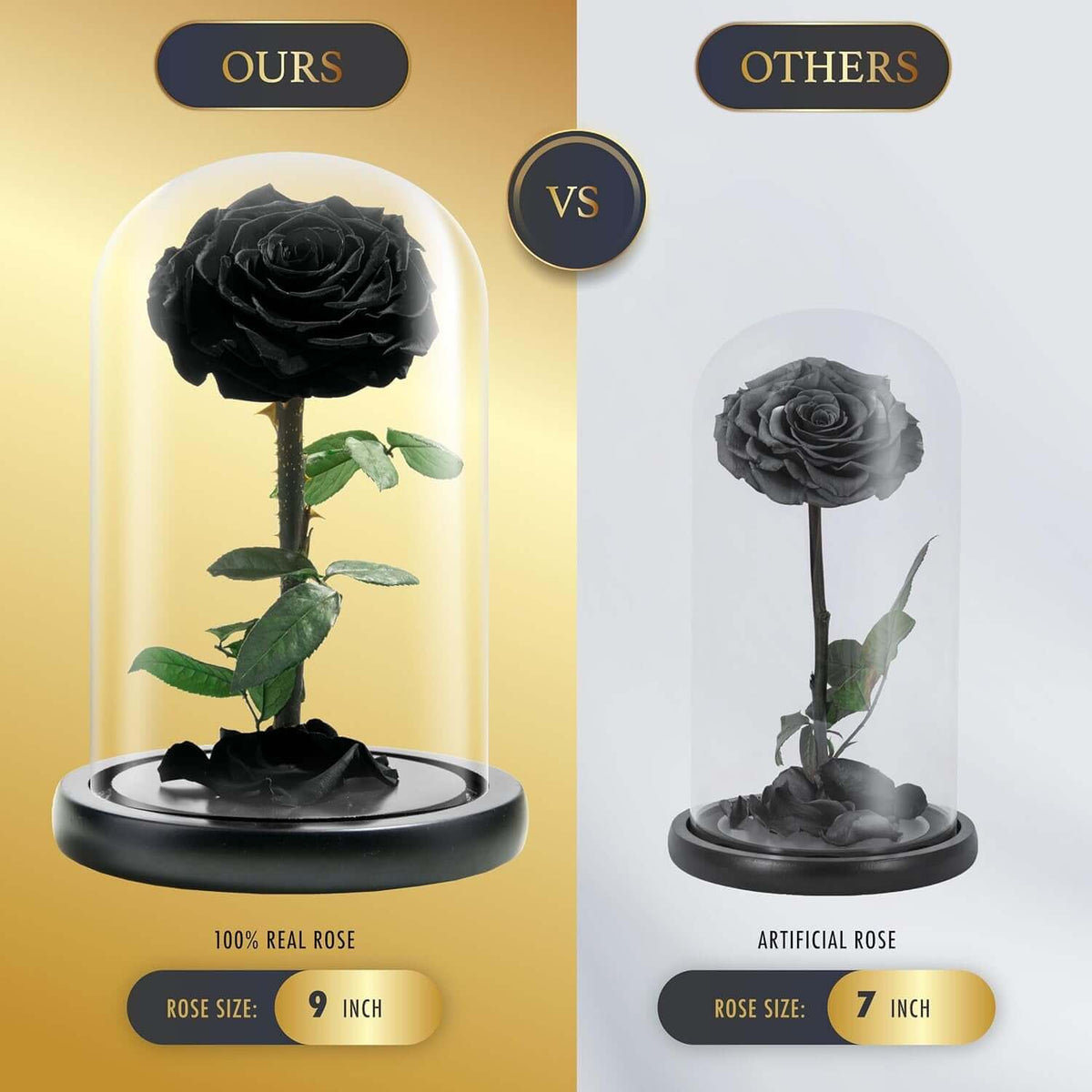 Forever Preserved Rose - Eternal Rose in Glass Dome - Beauty and the Beast Rose for Mom - Fresh Flowers (Black, 9 Inch)