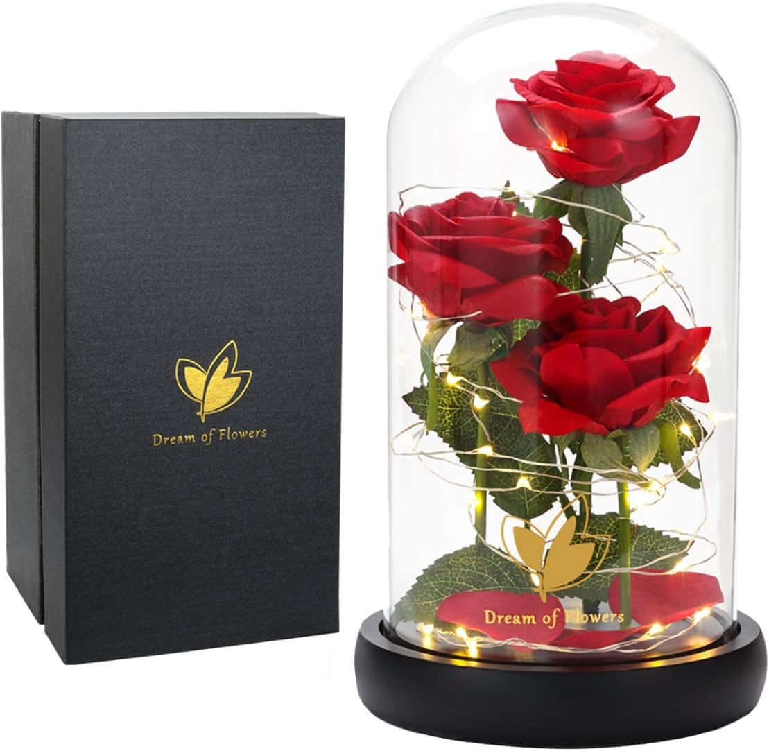 Gifts for Mom Mothers Day Birthday Gifts for Women,Beauty and the Beast Rose in Glass Dome,Anniversary Rose Gifts for Wife,Romantic Red Silk Rose Flower Gifts for Women