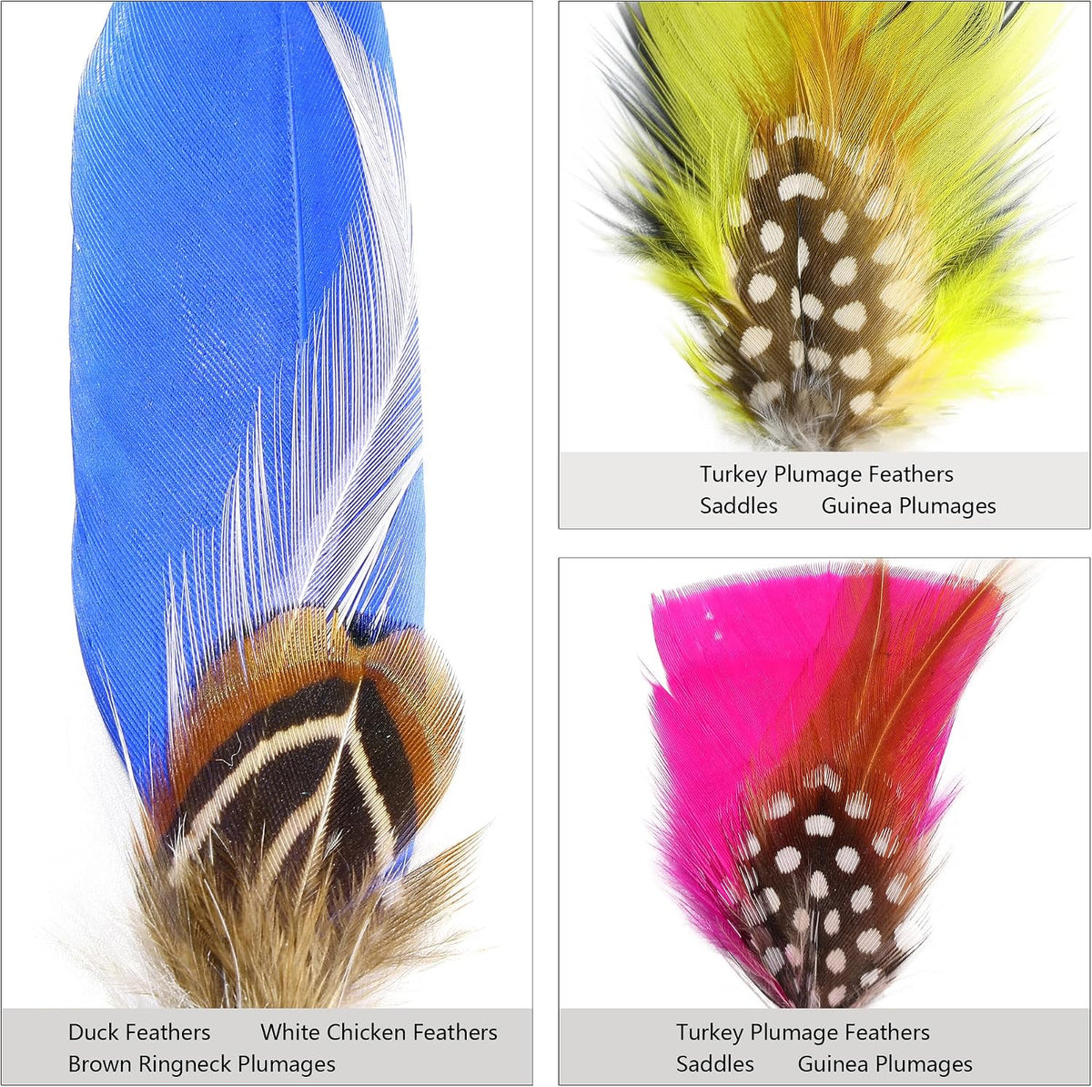 Hat Feathers 30 Styles Natural Assorted Feathers for Fedora Hats Accessories DIY Craft,Western Cowboy Hats,Christmas Party Hats,Oktoberfest Hats