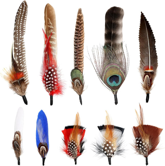 Hat Feathers 10 Styles Natural Assorted Feathers for Fedora Hats Accessories DIY Craft,Western Cowboy Hats,Christmas Party Hats,Oktoberfest Hats