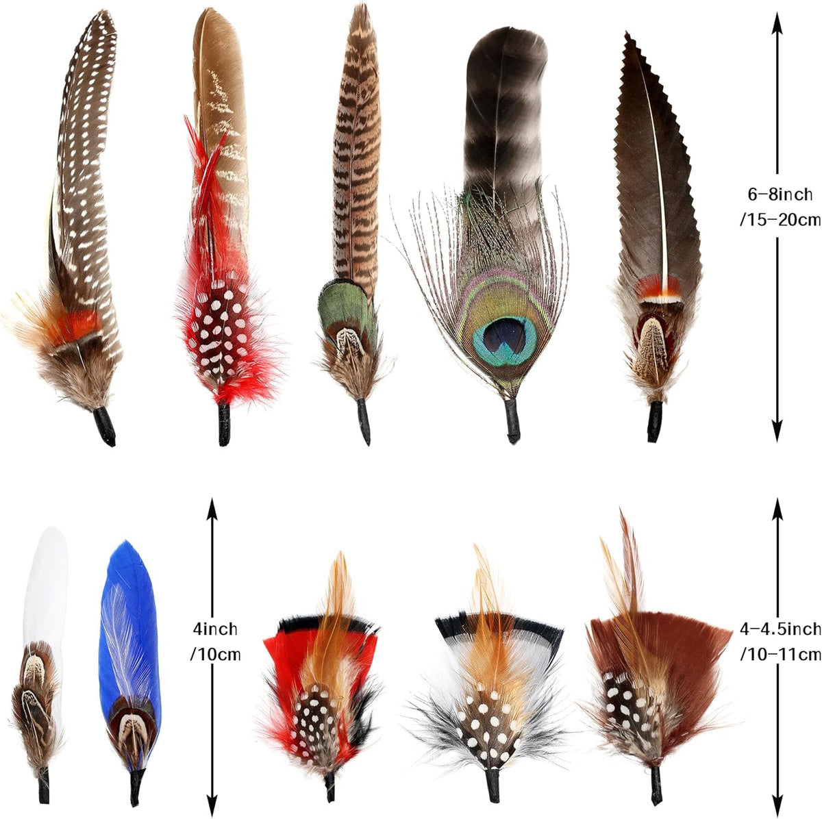 Hat Feathers 10 Styles Natural Assorted Feathers for Fedora Hats Accessories DIY Craft,Western Cowboy Hats,Christmas Party Hats,Oktoberfest Hats