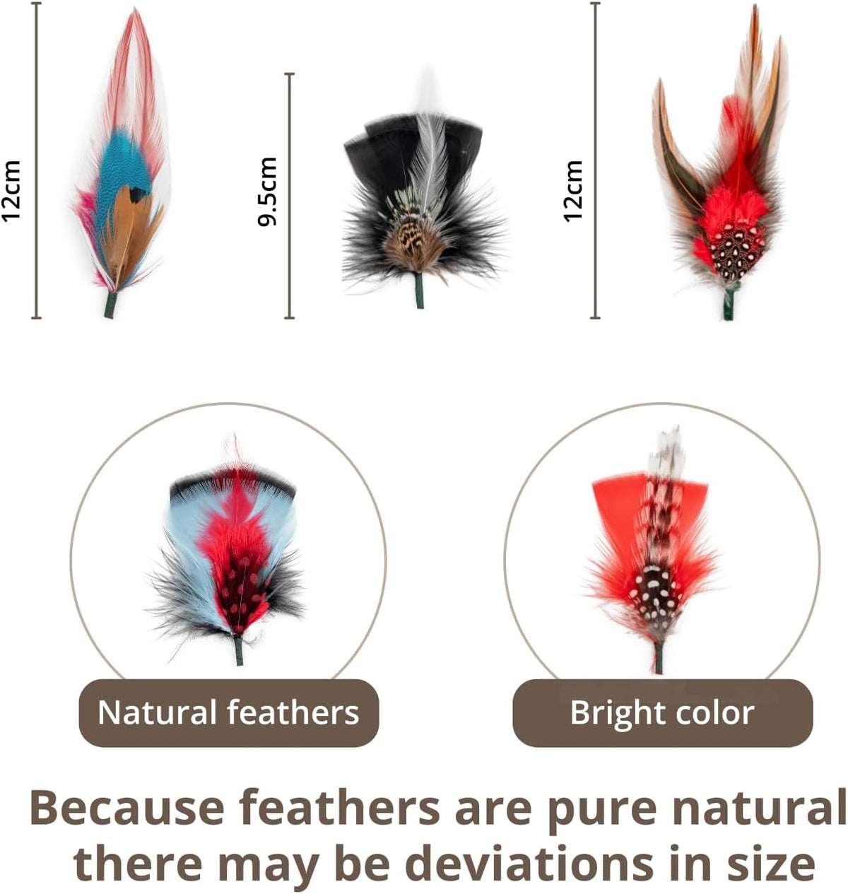Hat Feathers, Assorted Natural Feather Packs Accessories for Fedora Cowboy Hats, Pork Pie Trilby Hats