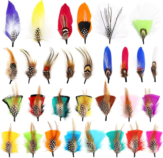 Hat Feathers 30 Styles Natural Assorted Feathers for Fedora Hats Accessories DIY Craft,Western Cowboy Hats,Christmas Party Hats,Oktoberfest Hats