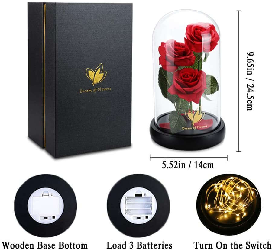 Gifts for Mom Mothers Day Birthday Gifts for Women,Beauty and the Beast Rose in Glass Dome,Anniversary Rose Gifts for Wife,Romantic Red Silk Rose Flower Gifts for Women